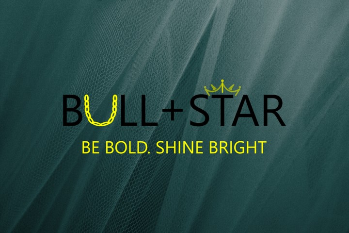 تصميم شعار Bull+star