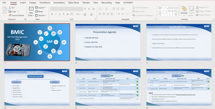 SAP Risk Management 2024