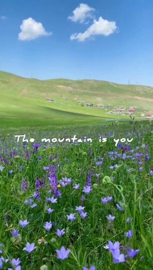 اقتباسات ملهمة من كتاب "الجبل هو أنت" "The Mountain is You"