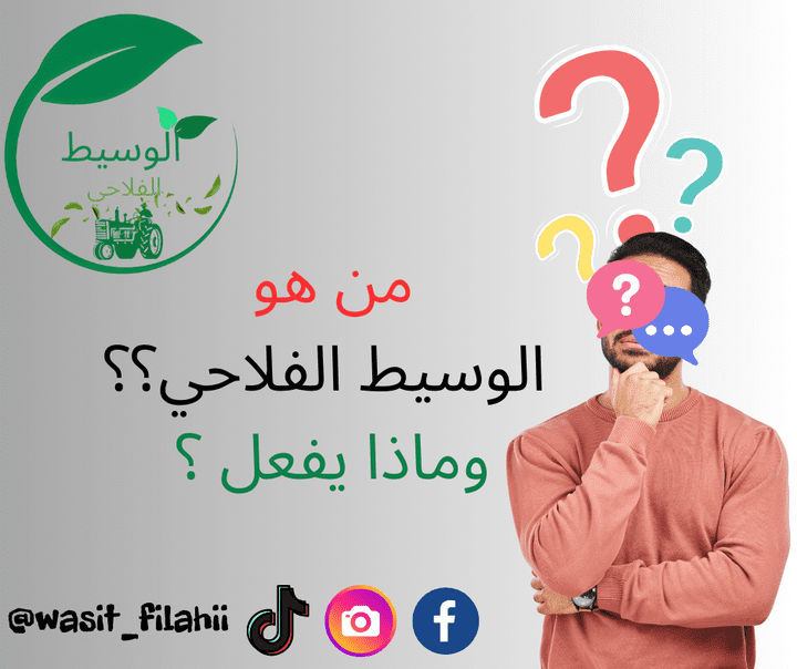 تصميم منشورات على مواقع التواصل