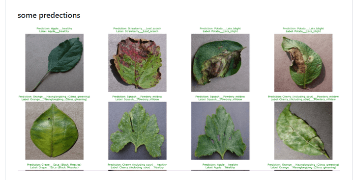 بناء مودل تعلم عميق Plant Diseases Prediction