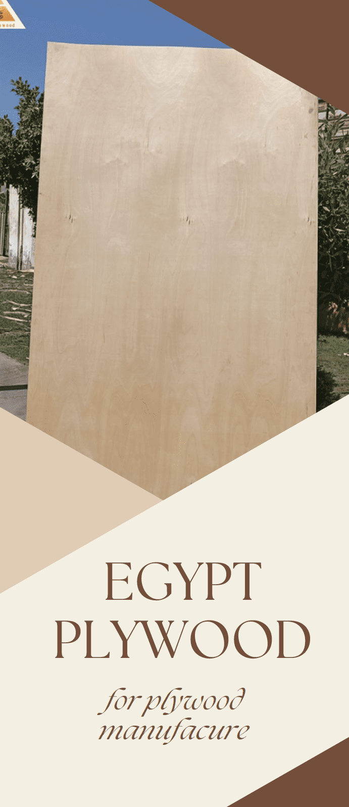 Brochure لمصنع Egypt Plywood