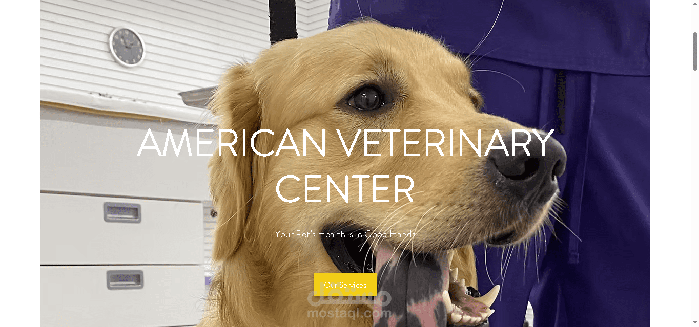 https://www.americanvetcenter.com/