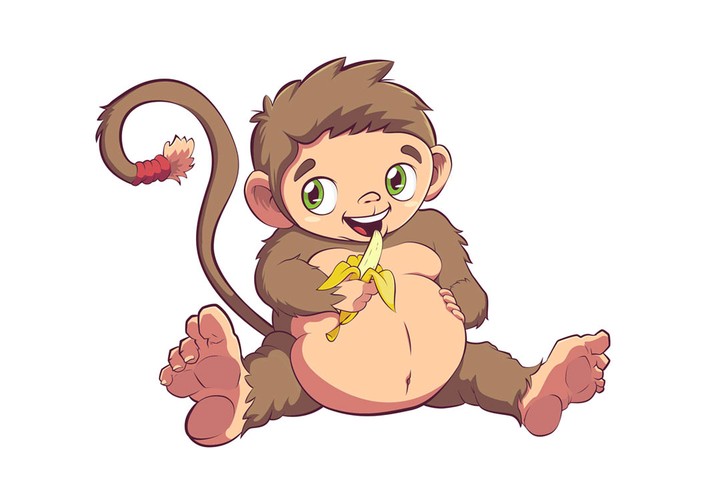 Monkey Character Design