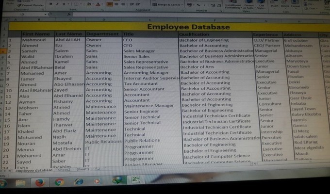 Data Entry for Word / Excel