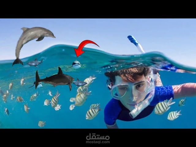 https://www.youtube.com/@AdhamitoVlogs