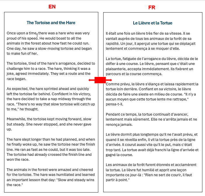 ترجمة محترفة من الإنجليزية إلى الفرنسية