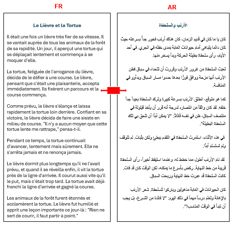 ترجمة محترفة من الفرنسية إلى العربية