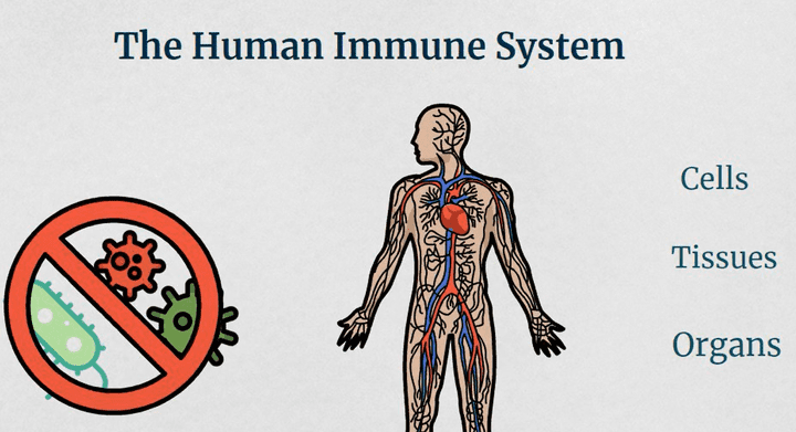 فيديو وايت بورد مبسط لشرح الجهاز المناعي