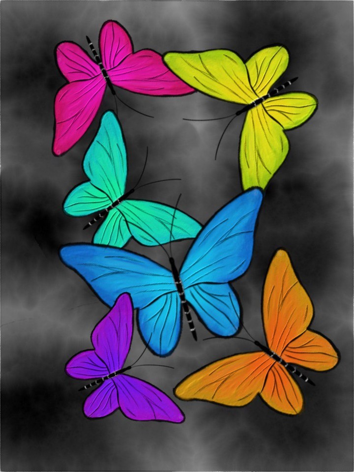 butterfly