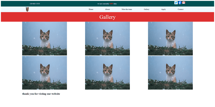 إنشاء صفحة عرض gallery باستخدام JavaScript وHTML وCSS