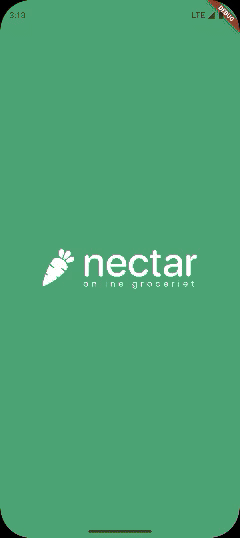 Nectar Grocery App – Redefining the Online Shopping Experience