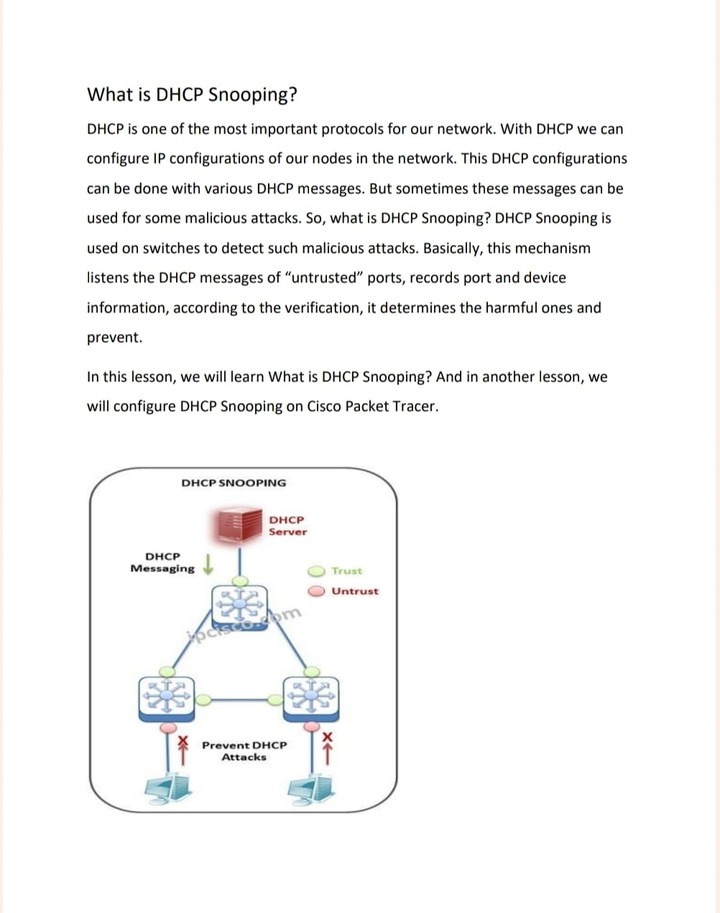 DHCP Snooping