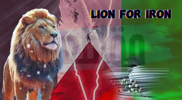 صورة لشركه تسمي lion for iton من تصميمي