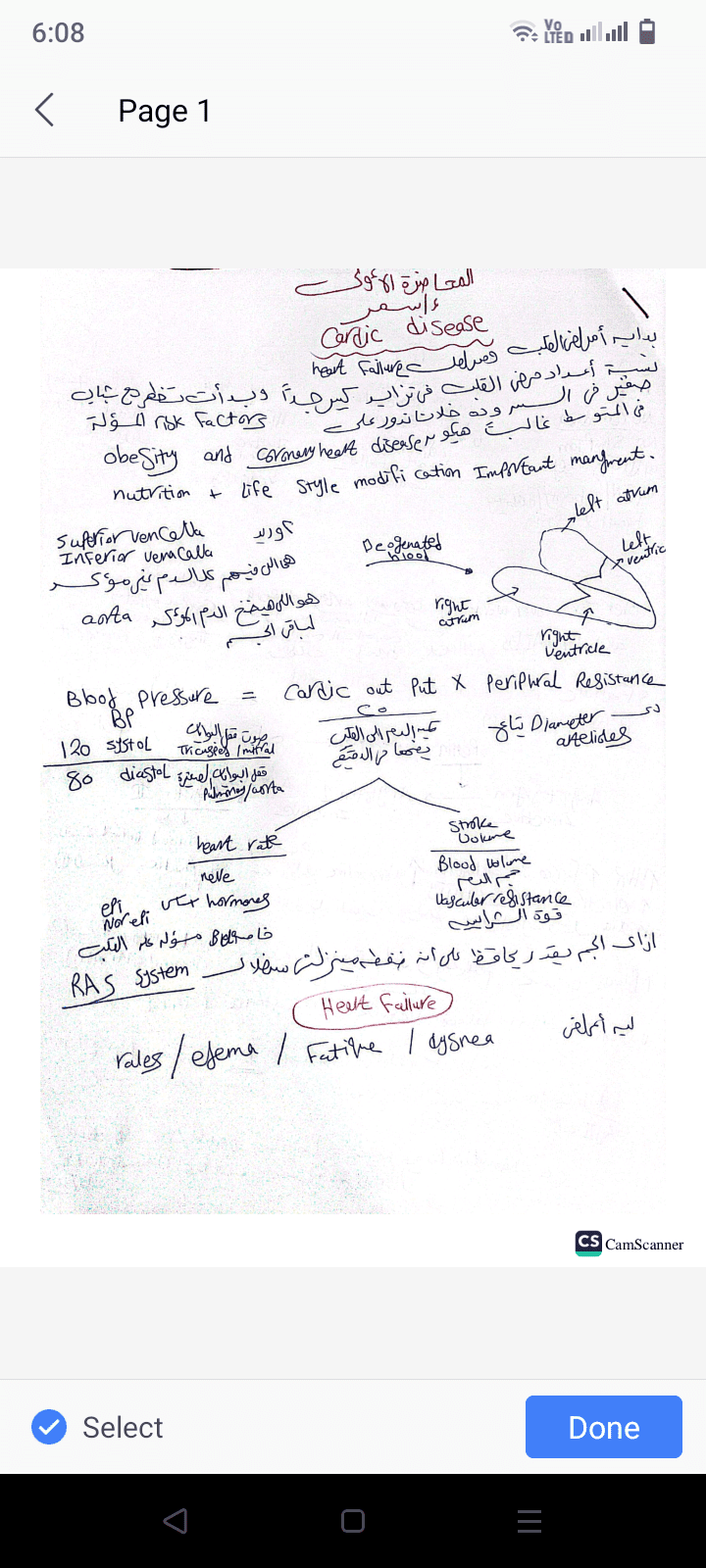 تلخيص محاضرات طبيه لطلبة صيدله