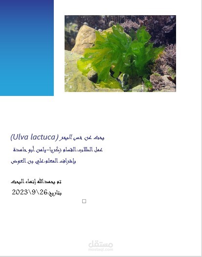 بحث أحياء عن الخس البحري