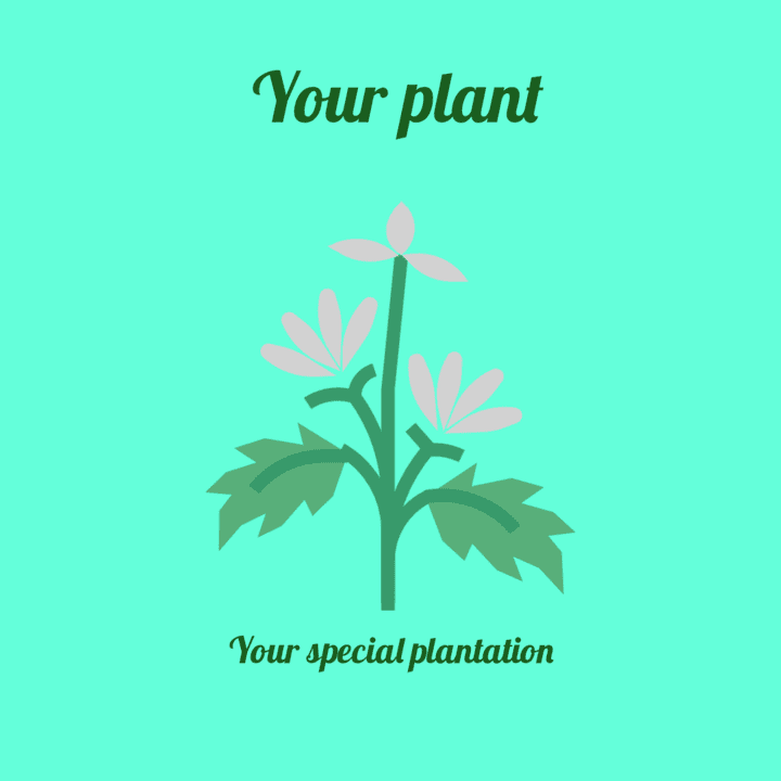 Your plant