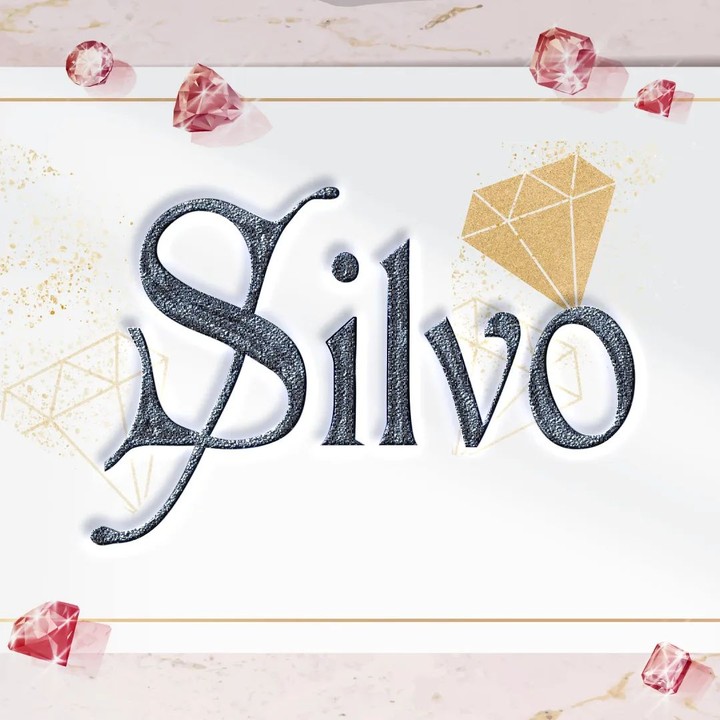 تصميم لوجو شركه مجوهرات ب اسم silvo