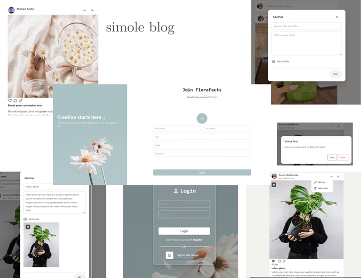 simple  blog || social maida web