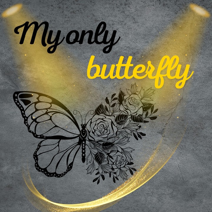 غلاف كتاب My only Butterfly