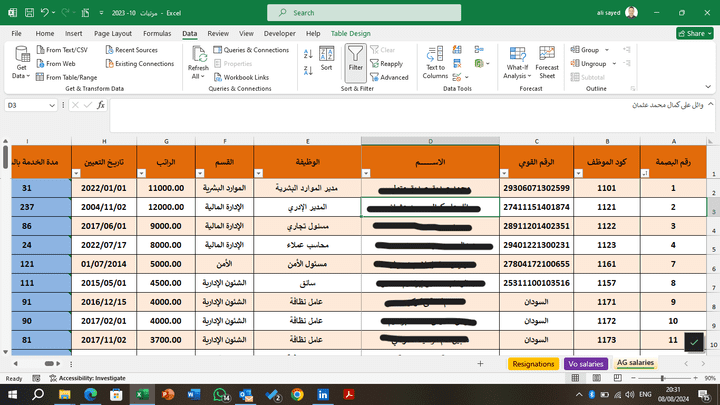 شيت مرتبات