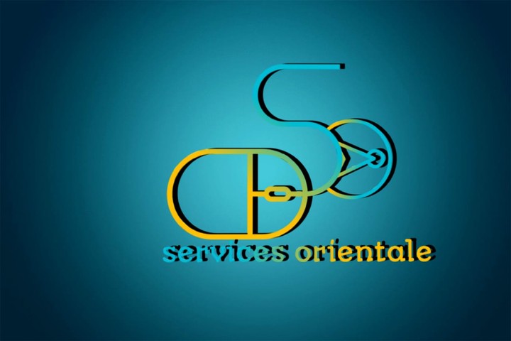 LOGO S.O