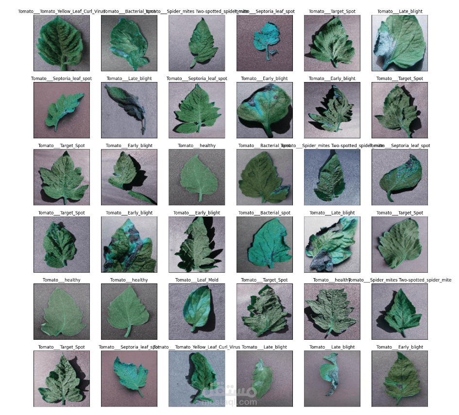 Tomato leaf disease detection