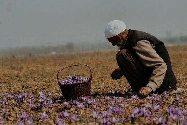 عن البطولة بعنوان: مُحسن