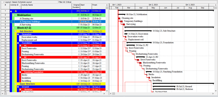 Construction Project Management Using Primavera P6