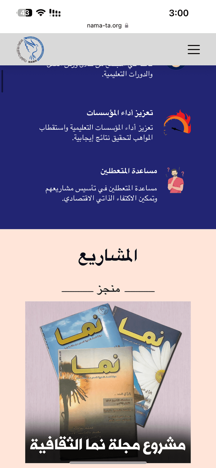 تصميم مواقع الكترونية