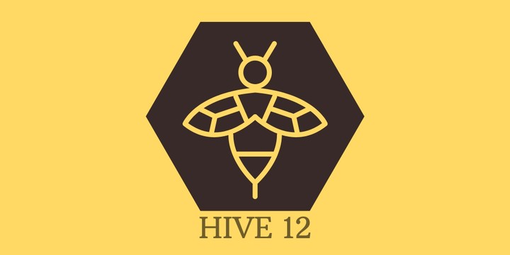 تصميم شعار لشركة التصميم الجرافيكي HIVE12