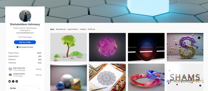 behance portfolio