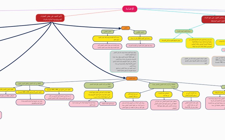عمل خريطة ذهنية لنص 7 صفحات وتحويله لصفحة واحدة منظمة