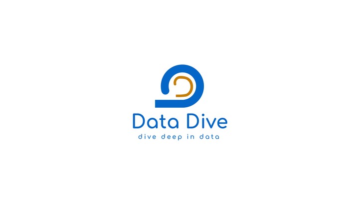 Data Dive company | Brand identity design