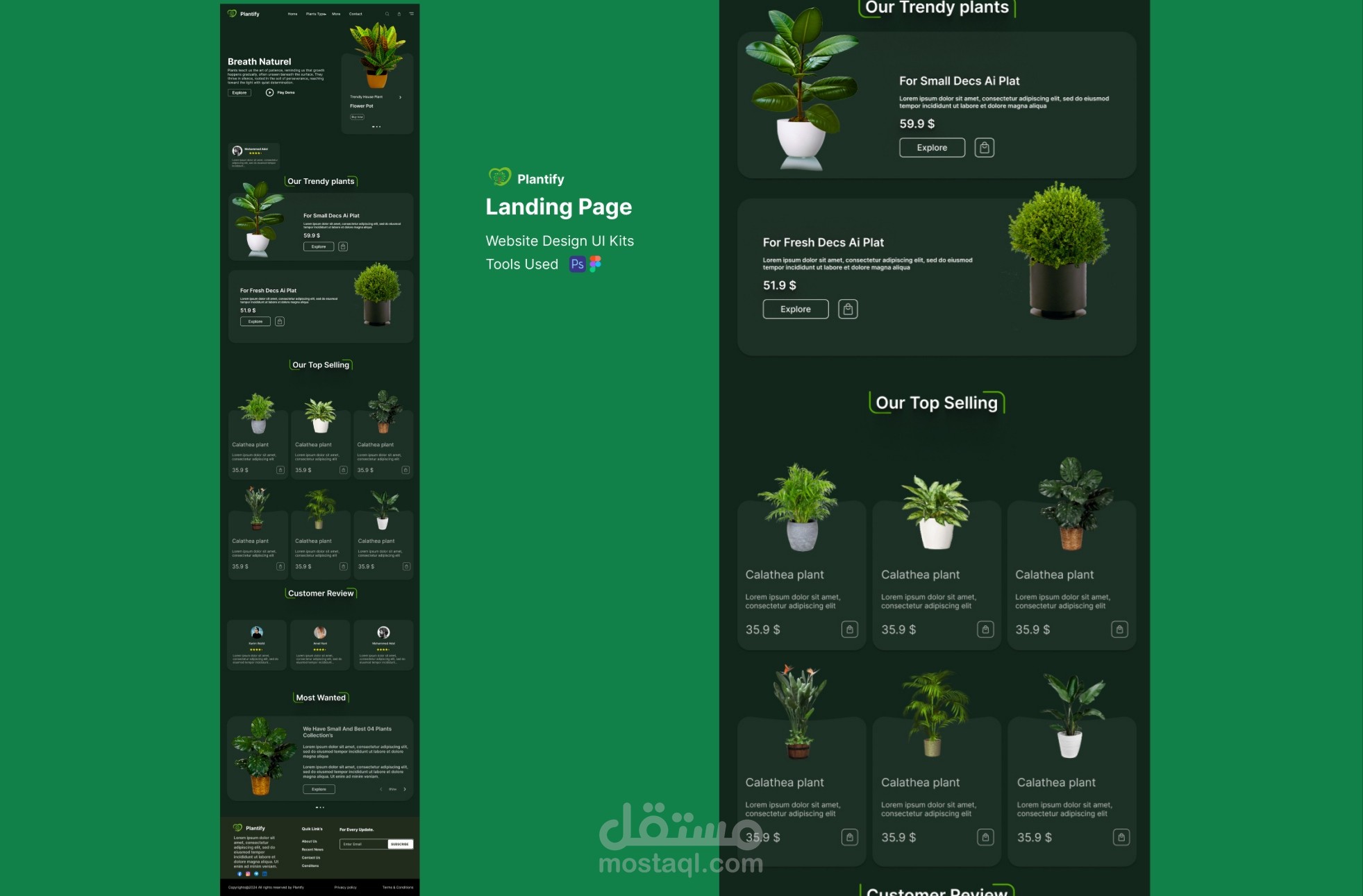 بلانتيفاي (Plantify)