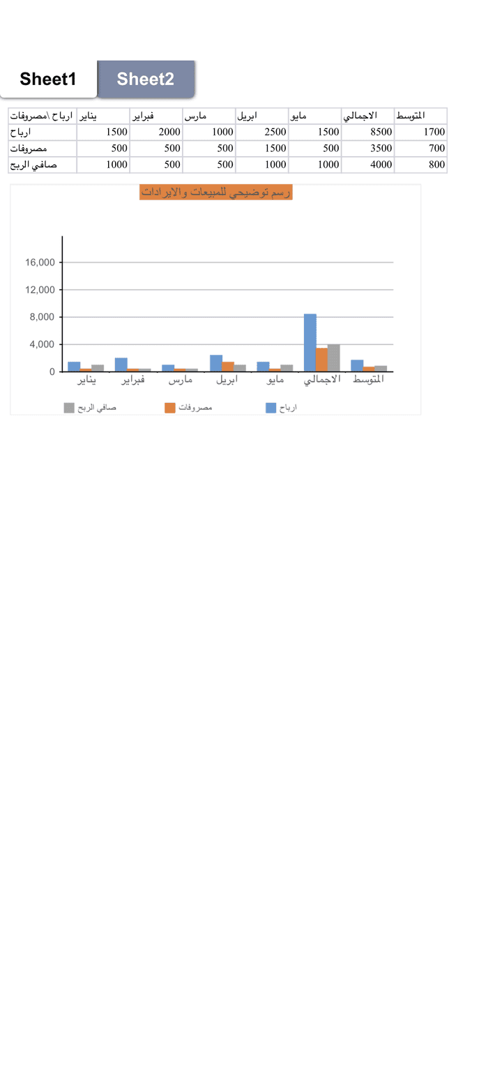 تقرير عن المشاريع