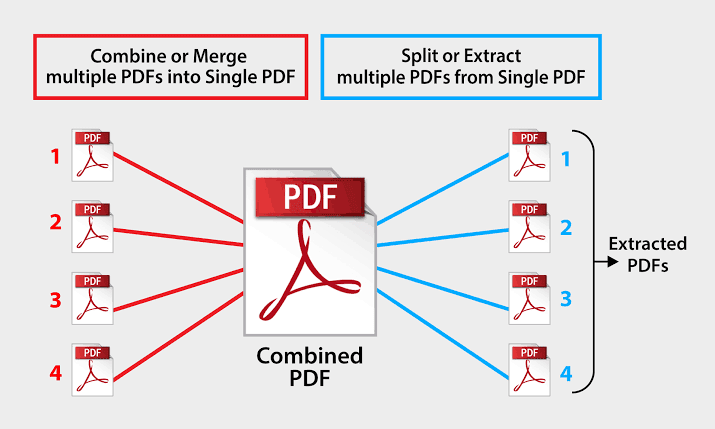 تعديل علي PDF