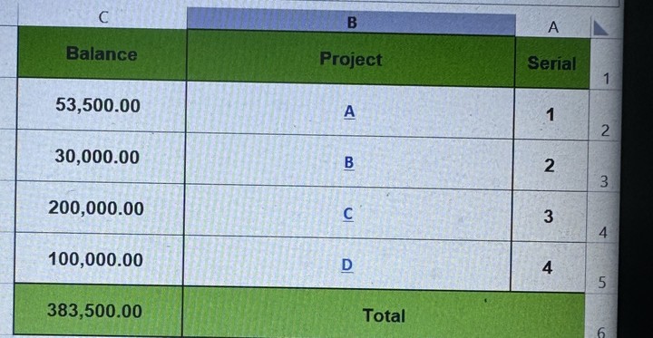 Preparing Excel Sheet for various projects Cash flow