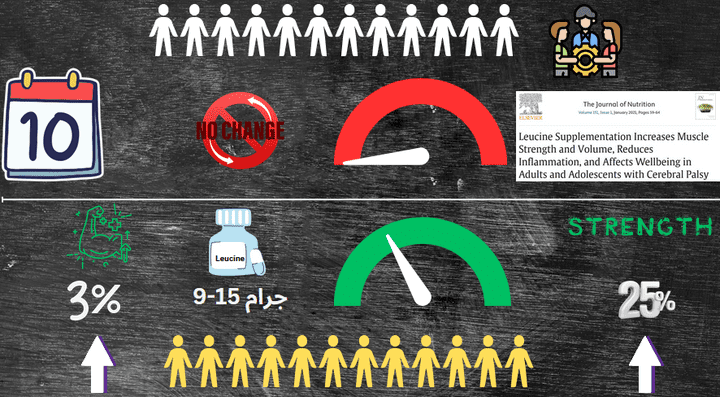 منتاج للفديوهات 4