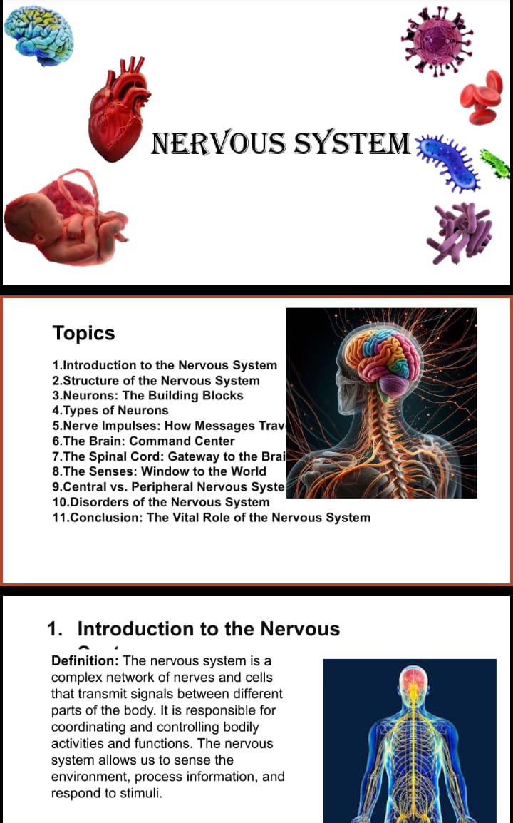 nervous system