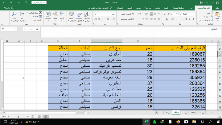 إدخال البيانات باستخدام excel