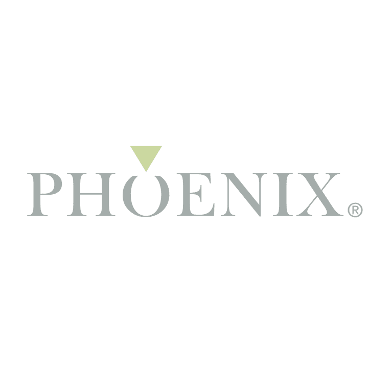 ٍPhonix Website