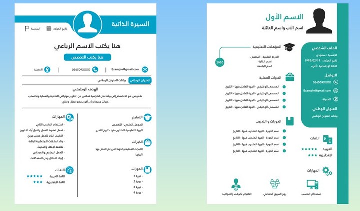 سيرة ذاتية احترافية