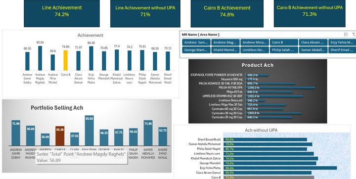 Excel Dashboard