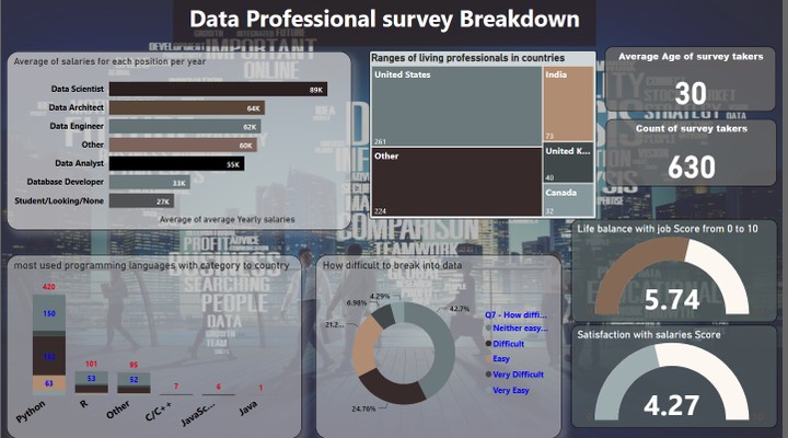 Data professional Career