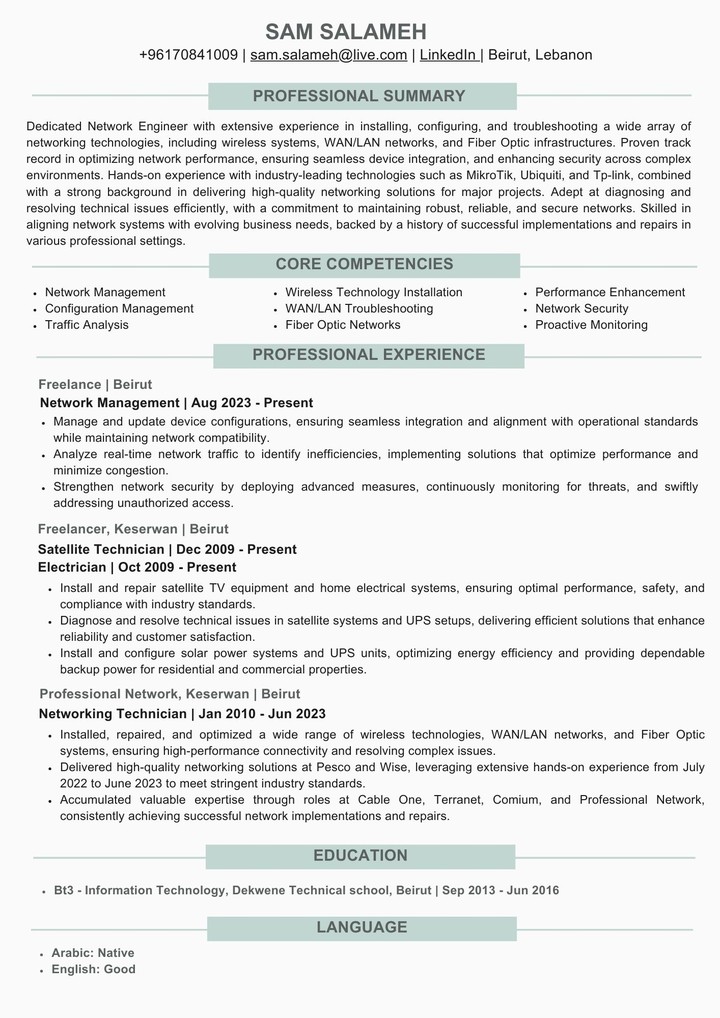 Professional CV