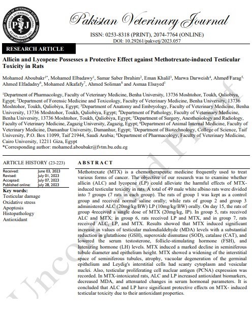 Allicin and Lycopene Possesses a Protective Effect against Methotrexate-induced Testicular  Toxicity in Rats