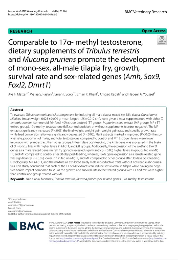 Comparable to 17α- methyl testosterone,  dietary supplements of Tribulus terrestris and Mucuna pruriens promote the development  of mono-sex, all-male tilapia fry, growth,  survival rate and sex-related genes (Amh, Sox9,  Foxl2, Dmrt1