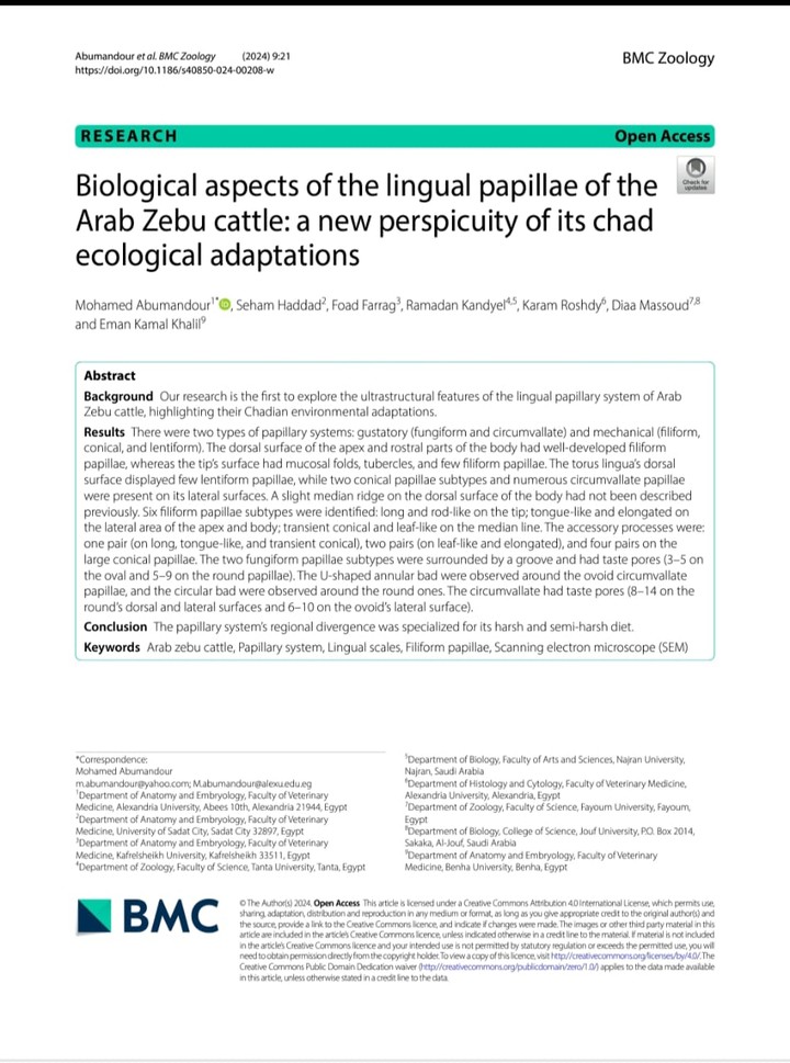 Biological aspects of the lingual papillae of the  Arab Zebu cattle: a new perspicuity of its chad  ecological adaptations