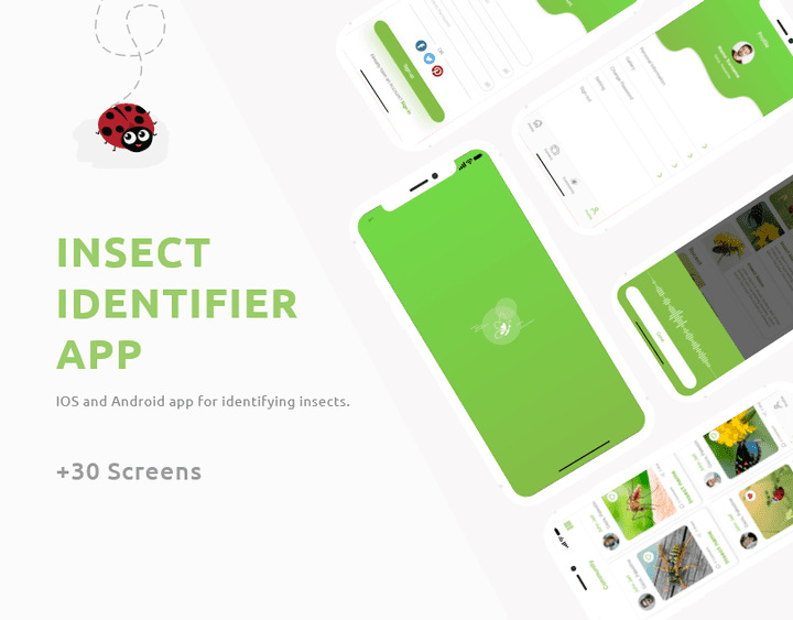 Insect identifier